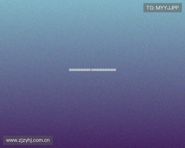 海星体育最新版本全新升级发布 功能优化与界面改进全方位体验提升